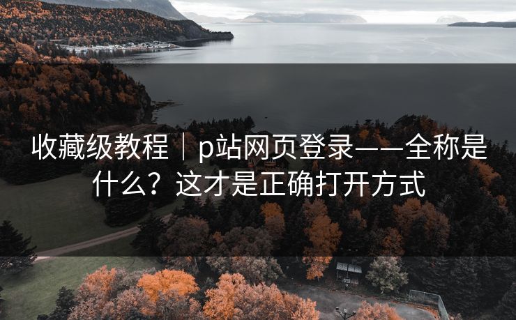 收藏级教程｜p站网页登录——全称是什么？这才是正确打开方式