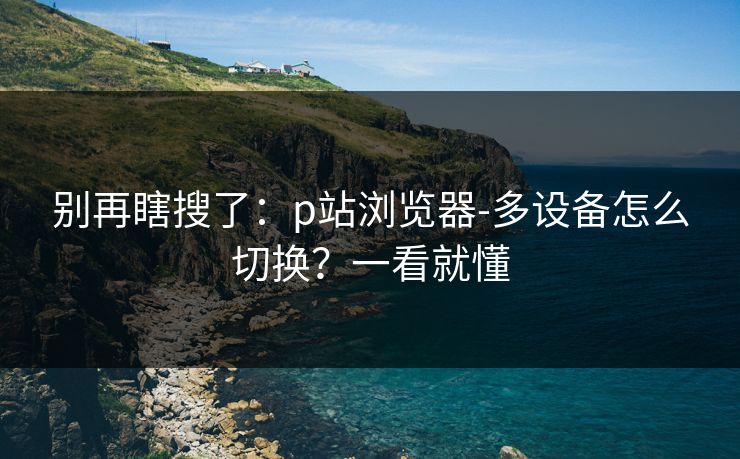 别再瞎搜了：p站浏览器-多设备怎么切换？一看就懂