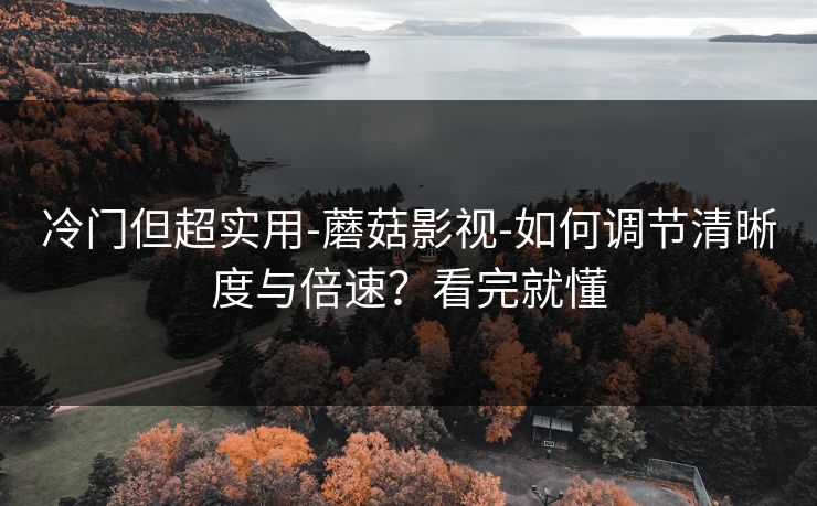 冷门但超实用-蘑菇影视-如何调节清晰度与倍速?看完就懂 冷门但超实用-蘑菇影视-如何调节清晰度与倍速?看完就懂