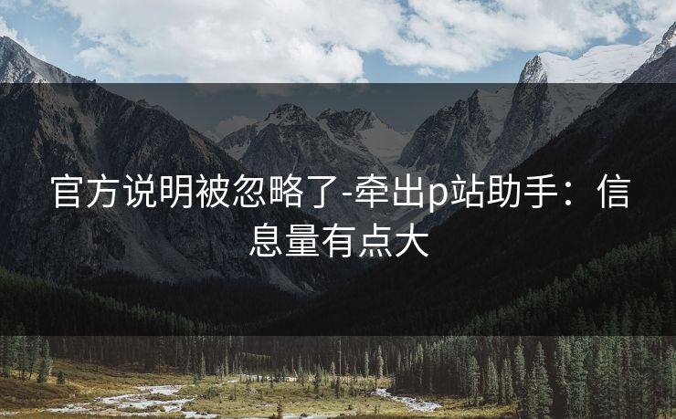 官方说明被忽略了-牵出p站助手：信息量有点大