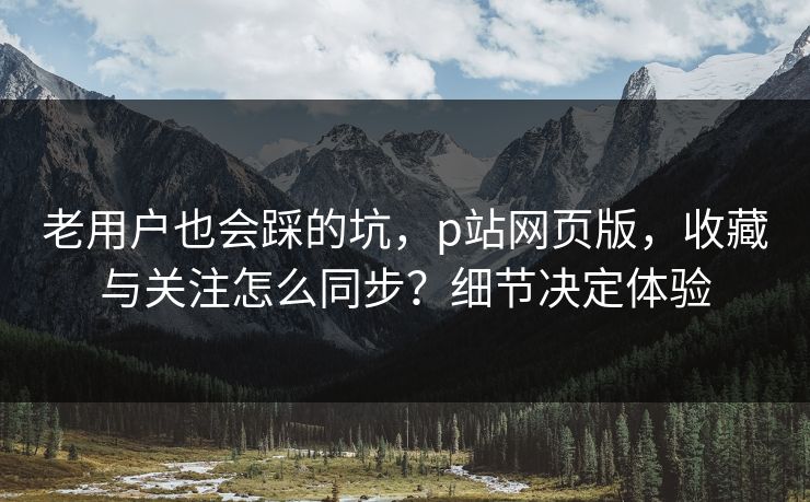 老用户也会踩的坑，p站网页版，收藏与关注怎么同步？细节决定体验