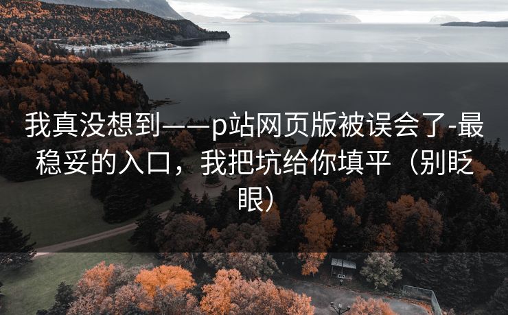 我真没想到——p站网页版被误会了-最稳妥的入口，我把坑给你填平（别眨眼）