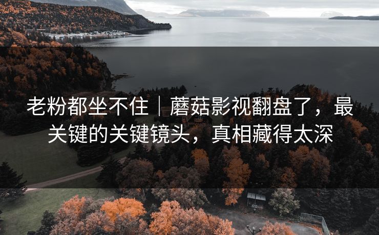 老粉都坐不住|蘑菇影视翻盘了,最关键的关键镜头,真相藏得太深 老粉都坐不住|蘑菇影视翻盘了,最关键的关键镜头,真相藏得太深