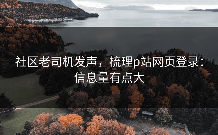 社区老司机发声，梳理p站网页登录：信息量有点大