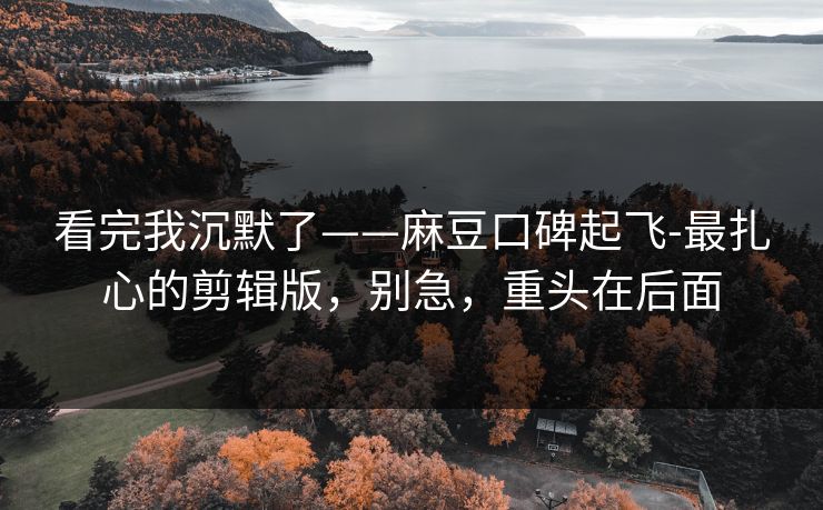 看完我沉默了——麻豆口碑起飞-最扎心的剪辑版，别急，重头在后面